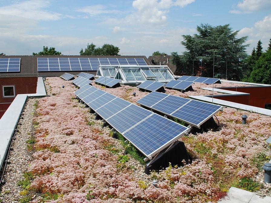 Solargründach an der Erich-Kästner-Schule in Langenfeld. Bild: Optigrün International AG 