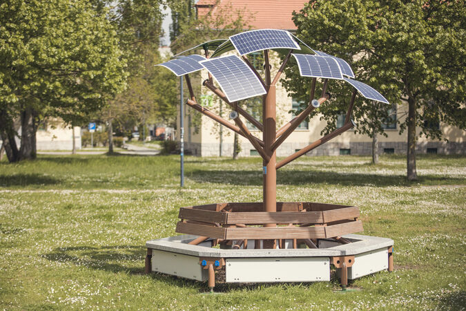 Solarbaum auf dem Magdeburger Campus, Foto: Matthias Piekacz.