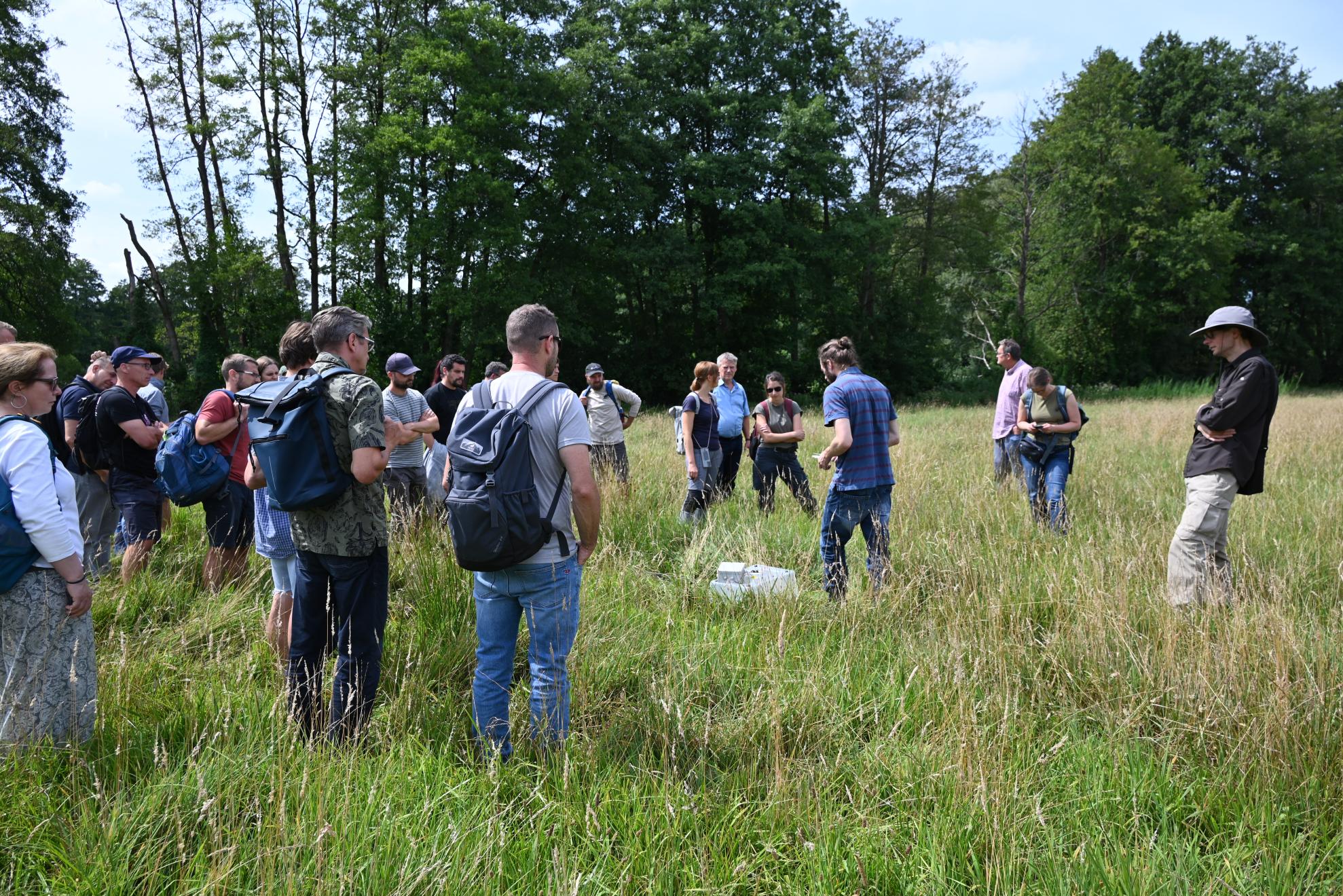 CO2 emissions are typical in the initial phase of peatland revitalisation.