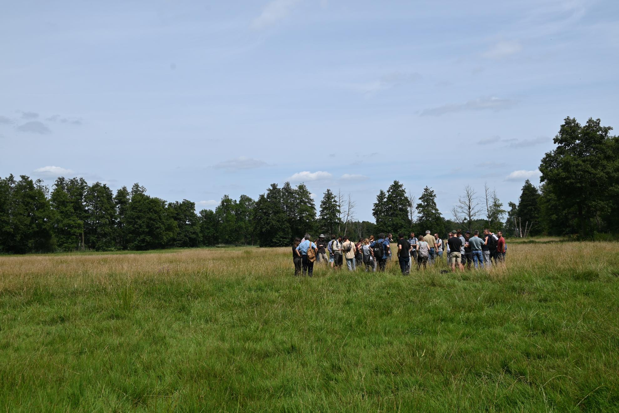 We hope for initial peatland revitalisation projects in Saxony-Anhalt!