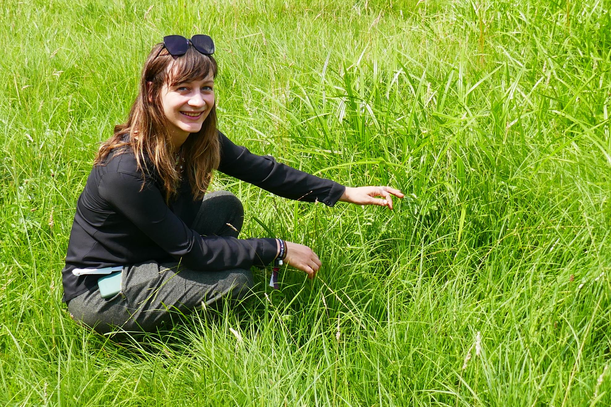 The presence of rushes and sedges indicates moist to wet soil conditions. They are typical plants for wetlands and show that the rewetting of the peatland is making progress.