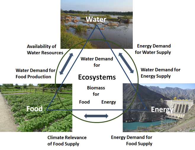 Infographic by Petra Schneider