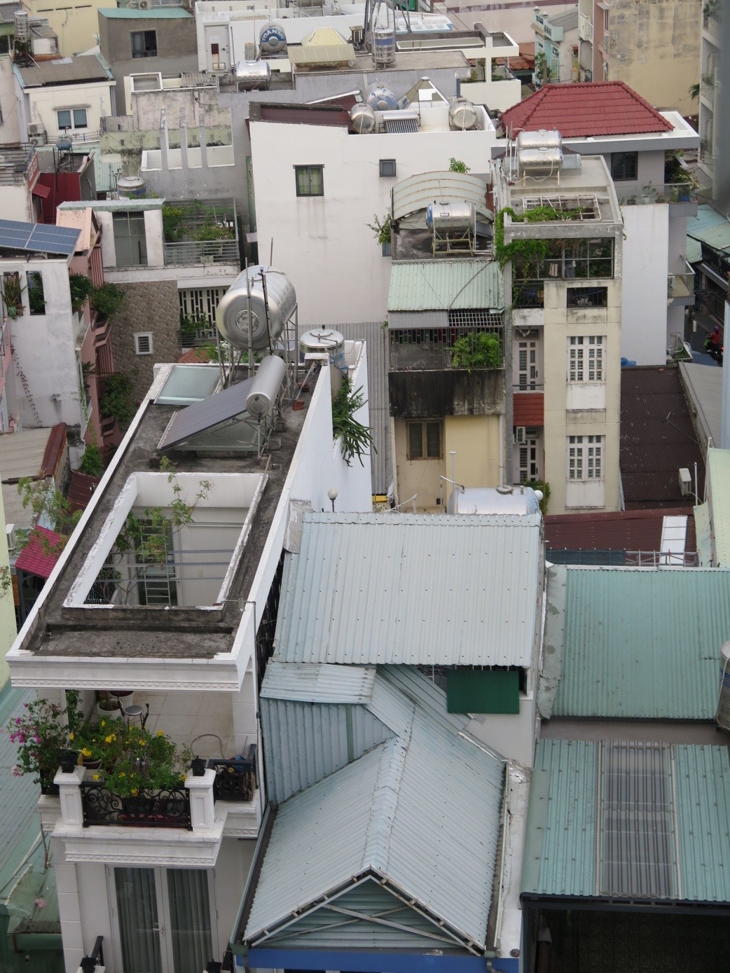 Little green in the Go Vap district of Ho Chi Minh City Little green in the Go Vap district of Ho Chi Minh City