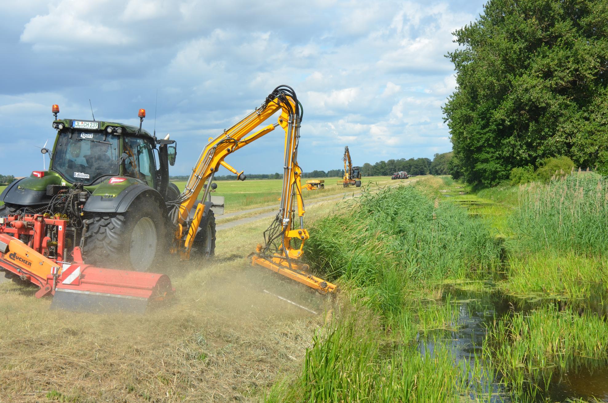 In the practice of alternate mowing, only one side of the riverbank is mown at a time, ensuring that refuge habitats for wildlife and vegetation are preserved on the opposing side. In the practice of alternate mowing, only one side of the riverbank is mown at a time, ensuring that refuge habitats for wildlife and vegetation are preserved on the opposing side.