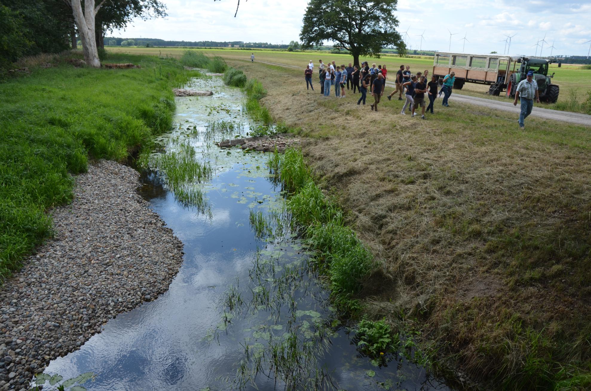 Gravel depositions and the introduction of deadwood are two measures that alter the river’s hydromorphology. Gravel depositions and the introduction of deadwood are two measures that alter the river’s hydromorphology.