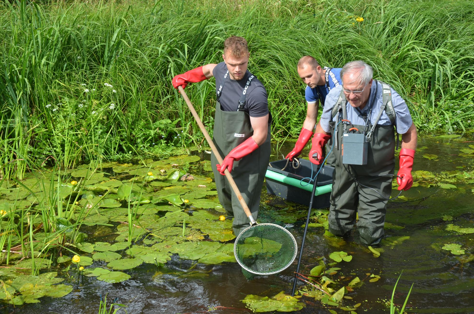 Prof. Dr. Volker Lüderitz demonstrated electrofishing techniques with the assistance of environmental engineering students. Prof. Dr. Volker Lüderitz demonstrated electrofishing techniques with the assistance of environmental engineering students.