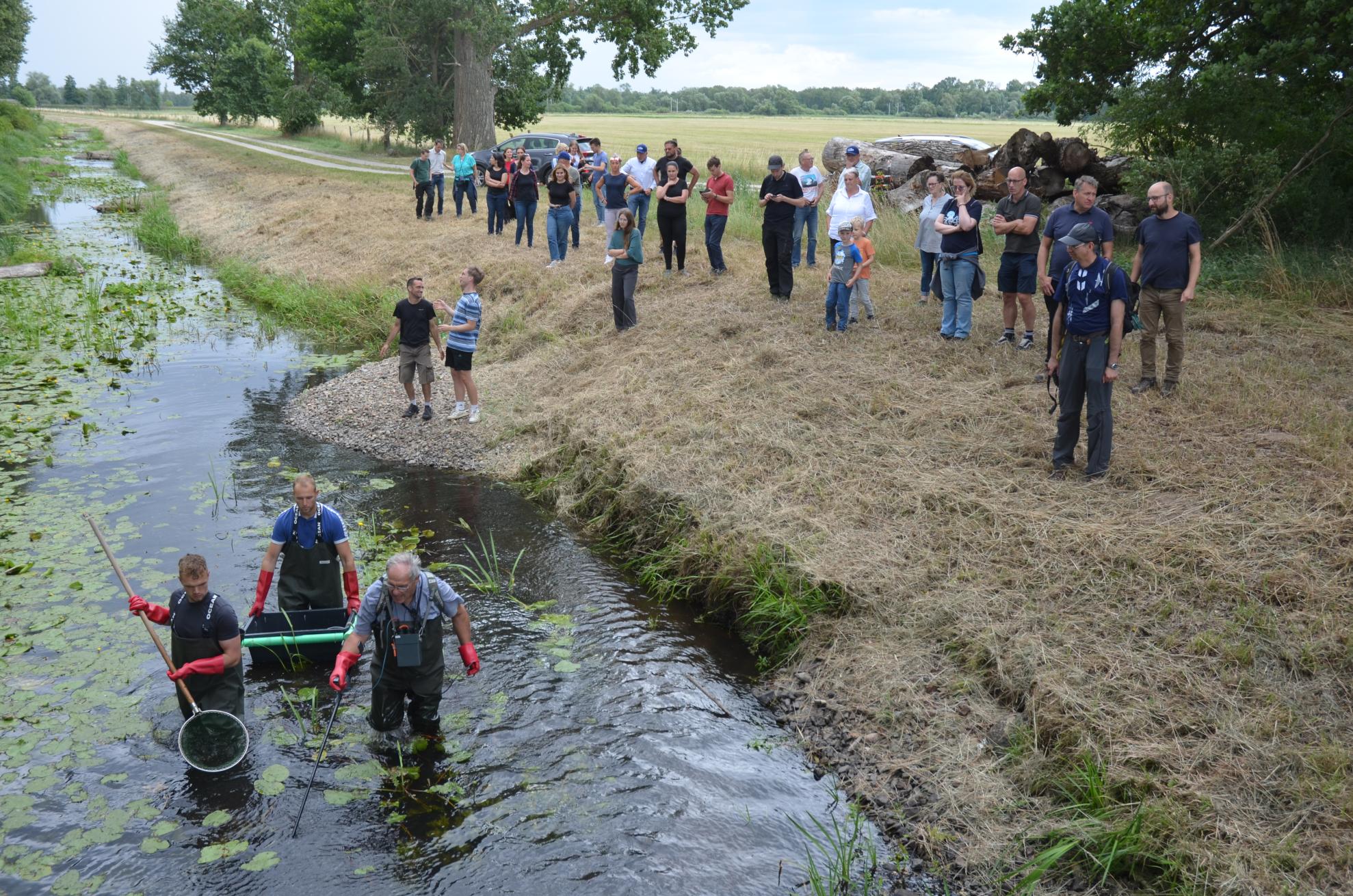 Electrofishing is conducted using lithium-ion batteries. Electrofishing is conducted using lithium-ion batteries.