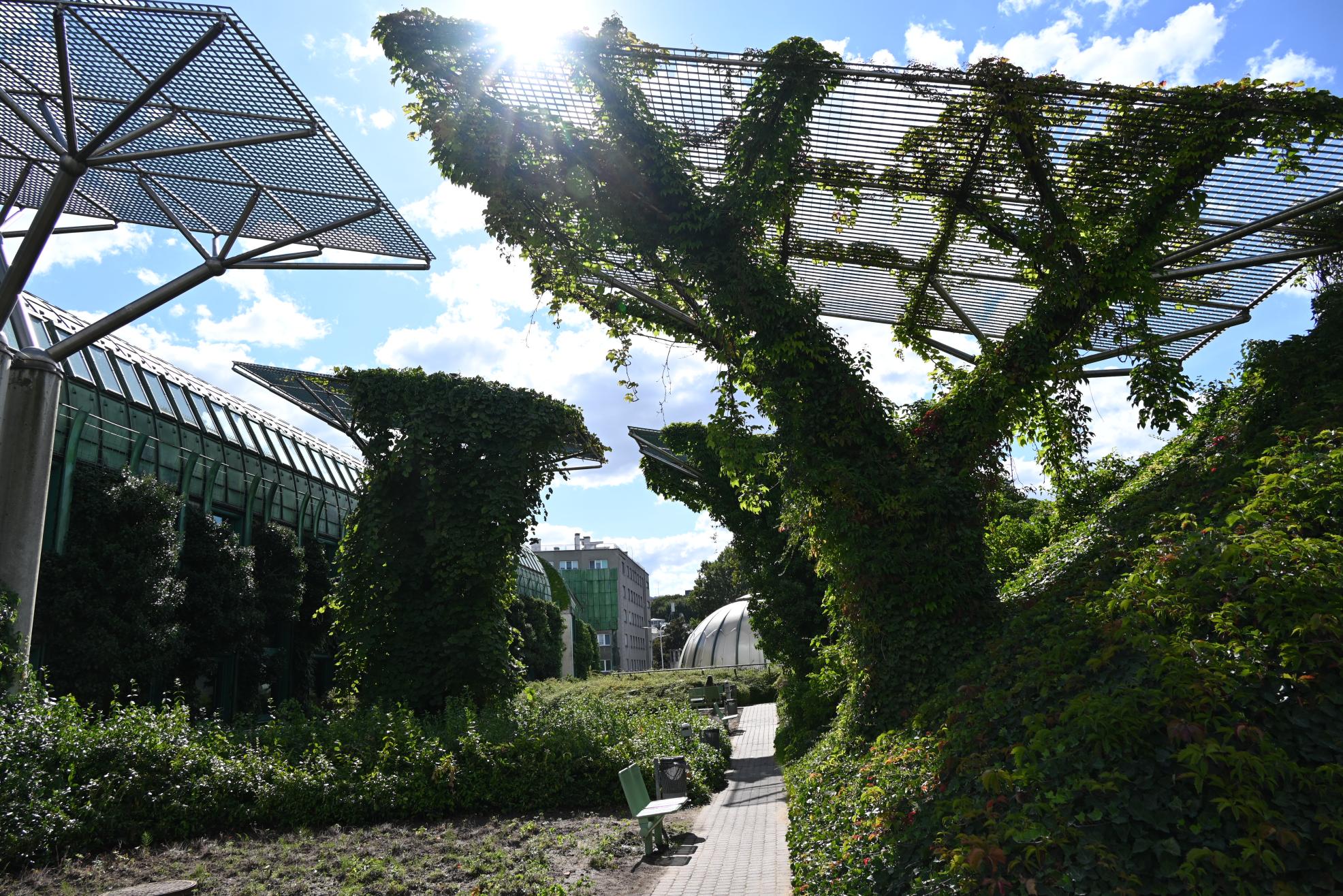 Bibliothek der Universität Warschau – ein lebendiges Beispiel dafür für „Nature-Based Solutions (NBS)“ Bibliothek der Universität Warschau – ein lebendiges Beispiel dafür für „Nature-Based Solutions (NBS)“