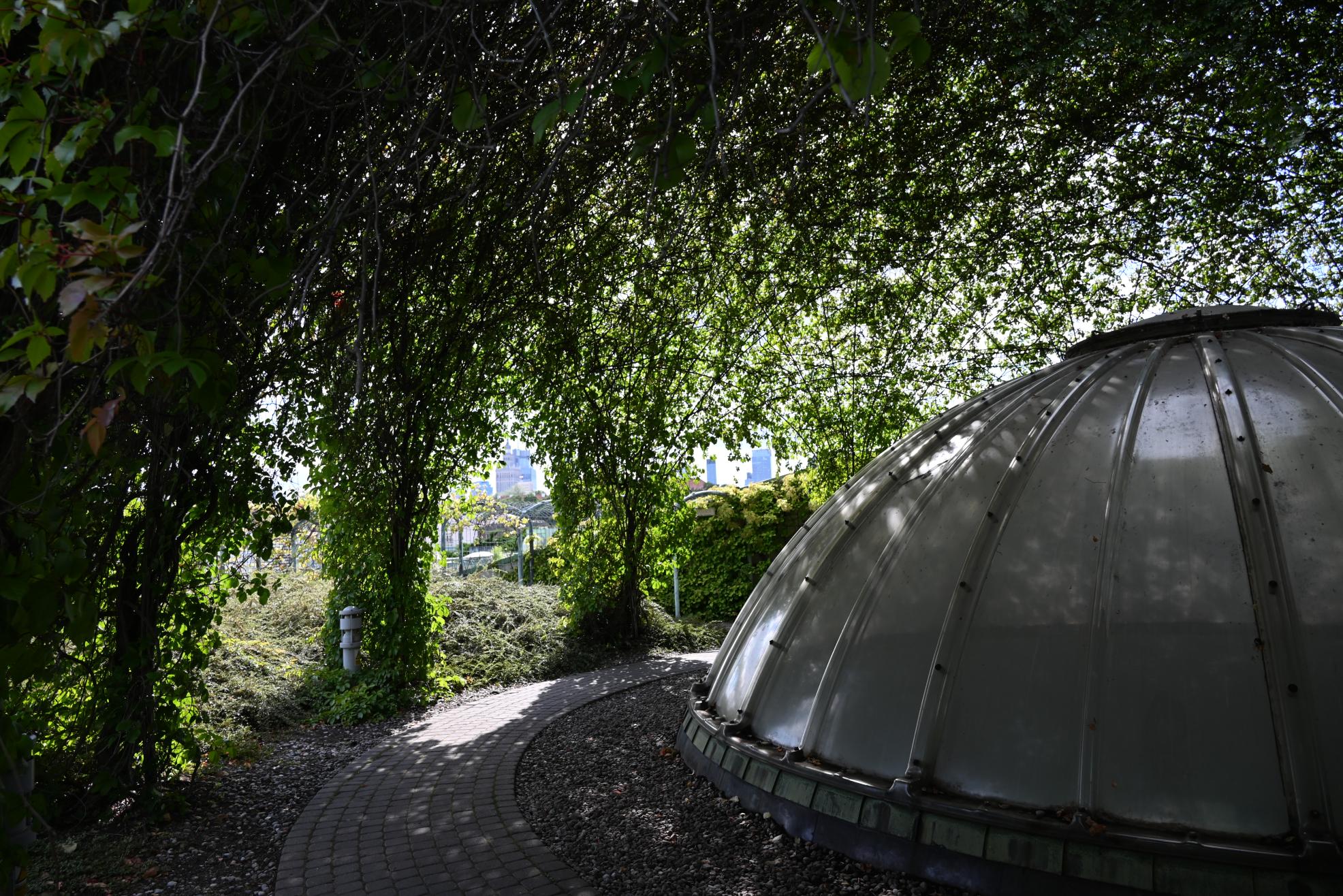 Bibliothek der Universität Warschau – ein lebendiges Beispiel dafür für „Nature-Based Solutions (NBS)“ Bibliothek der Universität Warschau – ein lebendiges Beispiel dafür für „Nature-Based Solutions (NBS)“