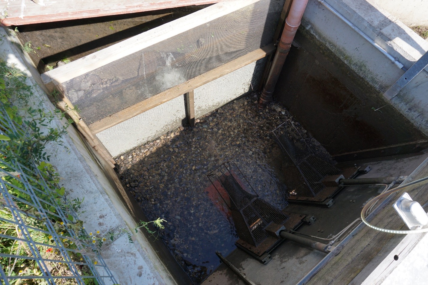 Fischüberholung