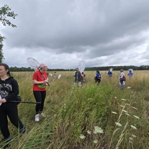 Polnische Expert:innen und angehende Expert:innen untersuchen Bestäuber im UNESCO Biosphärenreservat Drömling. Foto: Beata Bąk