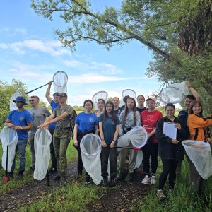 Polish experts and early-career specialists study pollinators in the Drömling UNESCO Biosphere Reserve. Image: Beata Bąk