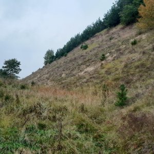 Exploration of a potential terrestrial study area in the Welski Landscape Park.