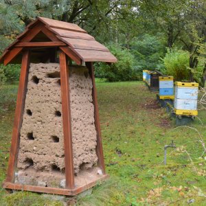 At the Chair of Apiculture at the University of Warmia and Mazury in Olsztyn, Poland (Katedra Drobiarstwa i Pszczelnictwa). Image: Petra Schneider