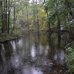 Gewässer im Welski Park.
