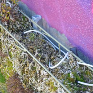 „DASmutigeINGE“ ist eine Kombination aus vertikaler Begrünung und bunten Graffiti. Hier wachsen über 35 Wildpflanzenarten mit intelligenter Bewässerung.