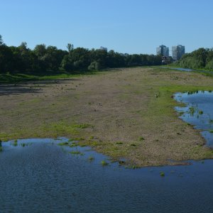 Altelbarm in Magdeburg, der bei Niedrigwasser der Elbe trockenfällt.