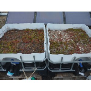 Pilot areas for green roofs with mineral substitute building materials