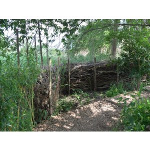 Benjeshecke (eine Totholzhecke) auf der Landesgartenschau Beelitz 2022