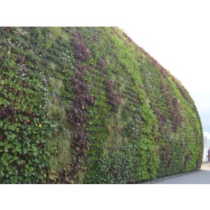 Wall-bound vertical greenery at the Federal Horticultural Show Berlin 2017