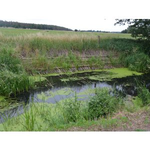 Böschungsfaschinen - naturnaher Wasserbau zur Gewässerrenaturierung im Tanger-Einzugsgebiet