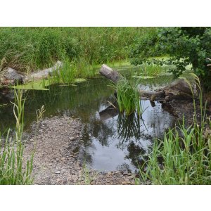 Strömungslenker - naturnaher Wasserbau zur Gewässerrenaturierung  im Tanger-Einzugsgebiet